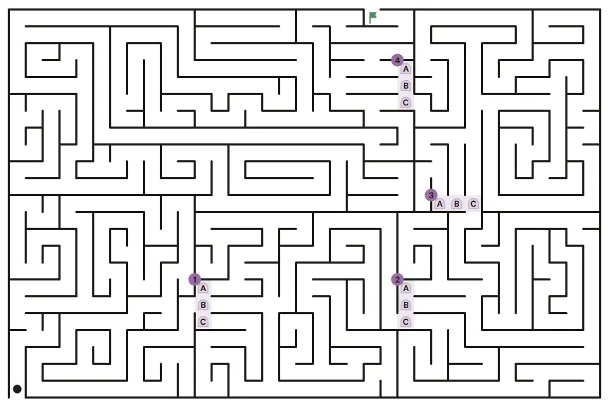 Guillemot Maze