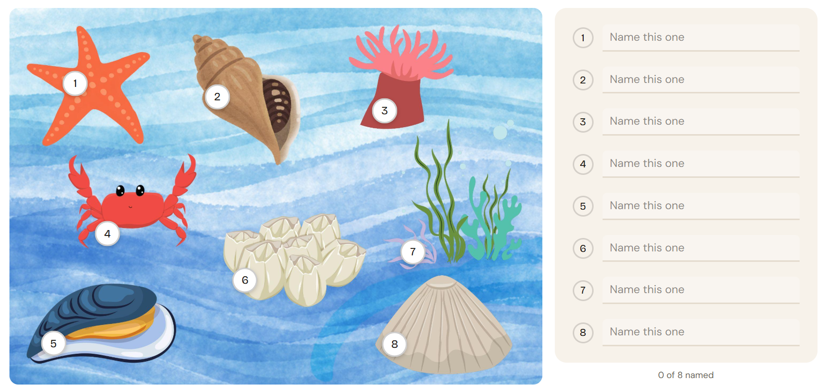 Rocky shore – Label the sea animals