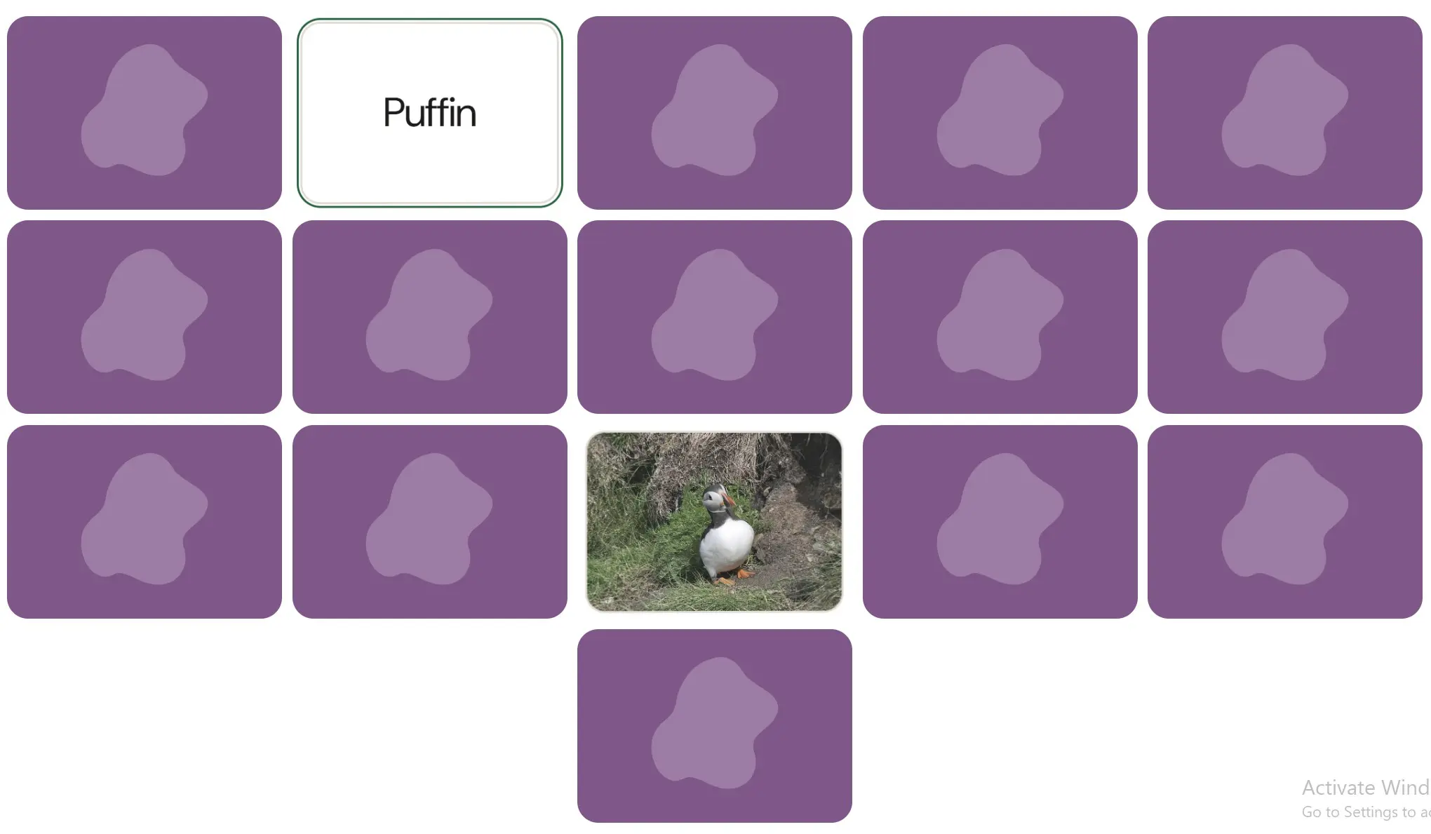 Seabird Memory Game